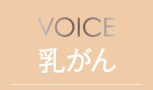 VOICE 