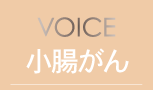 VOICE 