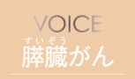 VOICE X